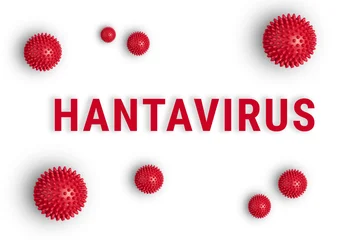 Multiple red spiky hantavirus cell models of varying sizes arranged around bold red Hantavirus text on clean white background, minimal medical illustration © Kira_Yan