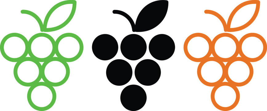 Illustration of three different grape cluster styles with varying colors and ripeness levels