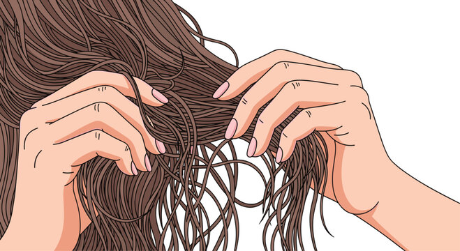 Meticulous hands with pink nails gently separate and hold strands of wavy brown hair against a clean white background for a hair care demonstration.