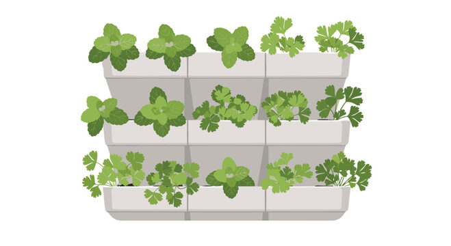 A lush vertical garden wall is composed of nine white plastic planters neatly arranged and filled with various fresh green herbs like mint and parsley.