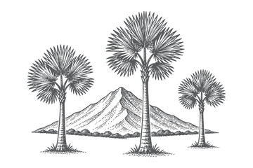Vintage Hand Drawn Engraving Style Vector Illustration of Tropical Mountain Landscape Featuring Palm Trees and Volcanic Peak in Woodcut Design © Chairul
