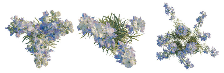 Fototapeta premium Consolida ajacis tree plan, top view, cutout, transparent background, isolate, Delicate sprig of lavender branch with subtle purple hues, a perfect botanical element for design.