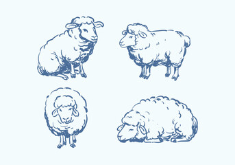 Obraz premium Hand drawn sheeps different poses of fluffy farm animals in vintage sketch style vetor illustration set. Isolated on background.