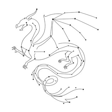 Minimalist outline drawing of draco constellation featuring dragon silhouette on grid background.
