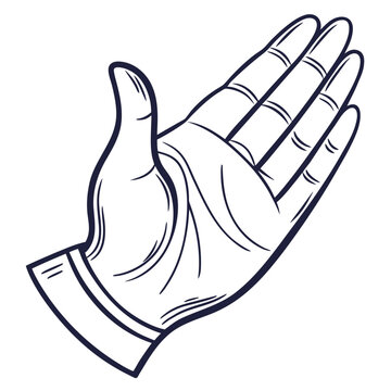 Open human hand with palm facing forward