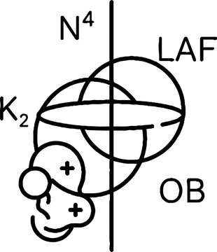 Abstract Geometry and Orbital Shells Diagram