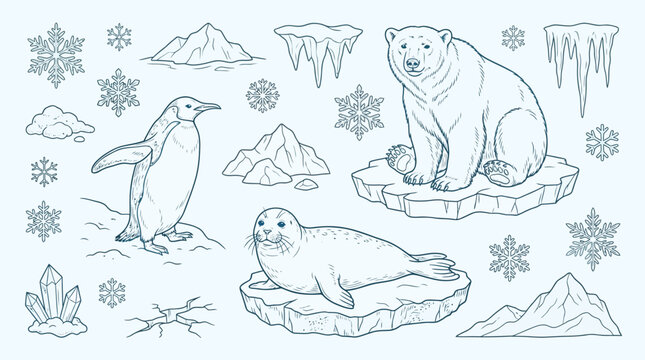 A charming hand-drawn illustration featuring arctic animals like a polar bear, penguin, and seal, surrounded by snowflakes, ice formations, and mountains.
