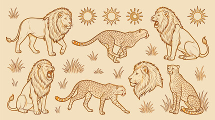 A vintage-style illustration featuring a collection of lions and cheetahs in various poses, set against a backdrop of stylized grass and sunbursts. © KN collection