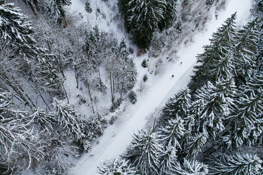 Aerial view of Grand Paradis with snow-covered pine trees and two people skiing on a white path in Champery, Valais, Switzerland.