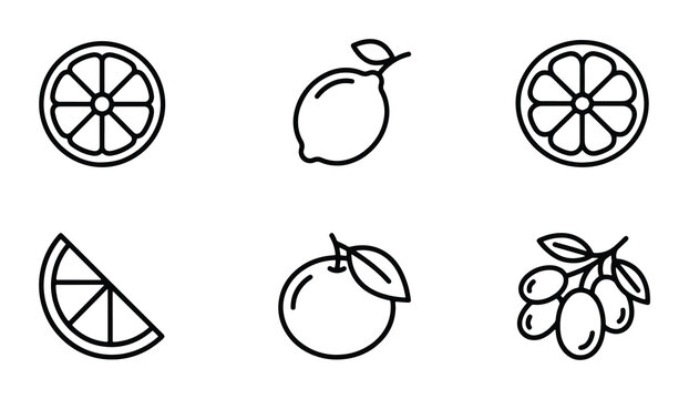 Citrus Fruit Icons Set, Orange Slice, Lemon, Olive Branch, Fresh Food Vector Graphics, Healthy Ingredient Line Art