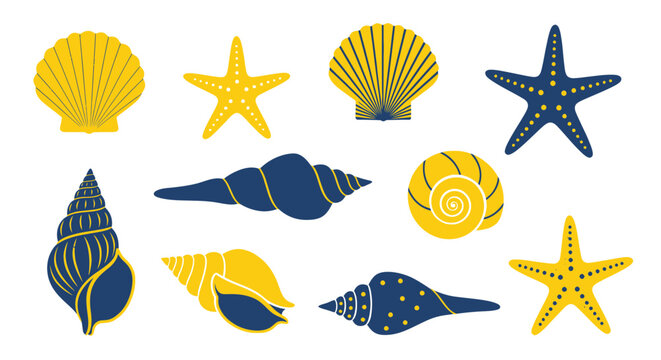 Collection of seashells and starfish.