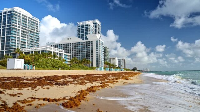 Beautiful waves splash to the shore with lots of seaweeds on the sand. Low angle view at the hotels on the coast of Miami, Florida, USA.