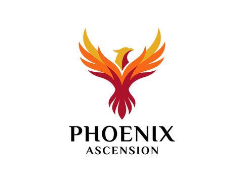 A vibrant phoenix rises with flames of orange, red, and yellow, symbolizing rebirth and new beginnings in various sectors, making this logo ideal for creative endeavors.