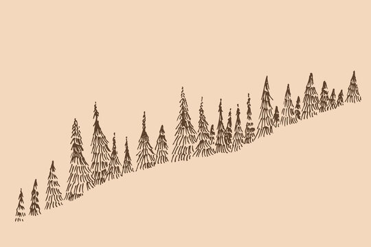Hand-drawn vintage sketch of coniferous forest growing on mountain slope. Rustic vector illustration of pine and fir trees row in woodcut style