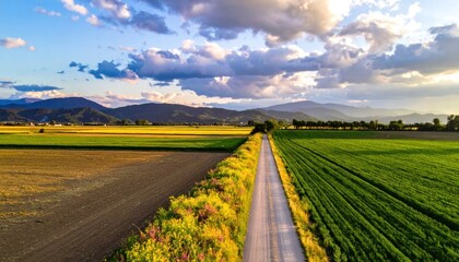 Naklejka premium Scenic Country Road Through Agricultural Fields at Sunset.