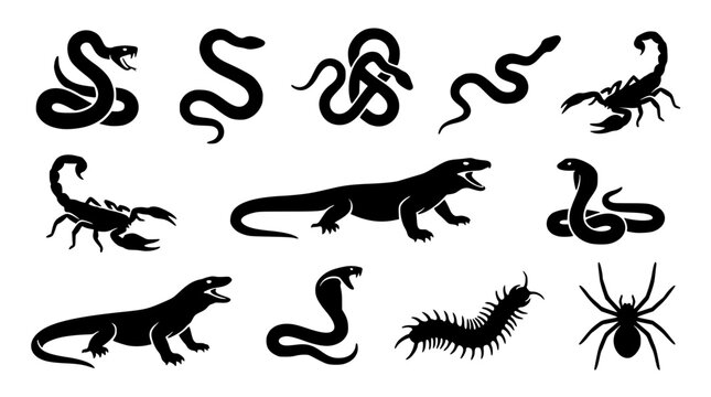 Collection of dangerous wildlife vector graphic elements illustration
