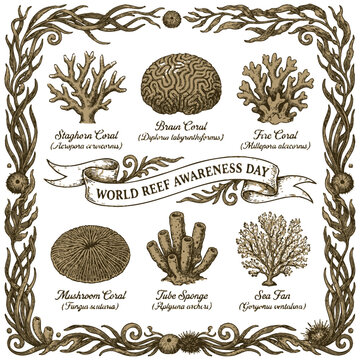 World Reef Awareness Day illustration with various coral reef species