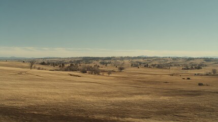 Naklejka premium Expansive uncultivated landscape presenting rolling golden hills, dry grassy terrain, and sparse trees stretching towards a distant horizon under a wide blue sky