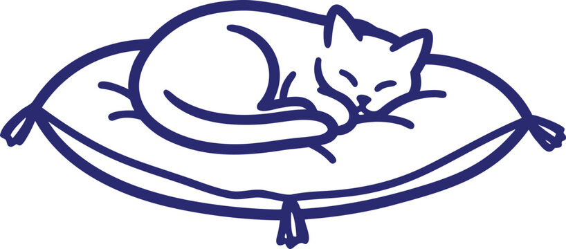 Sleeping cat on a cushion with tassels