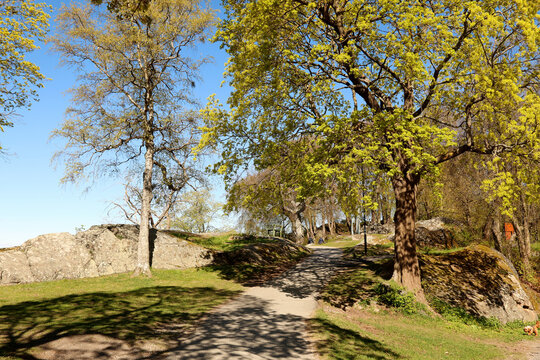 Park