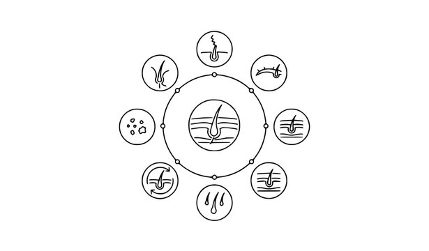 Hair loss outline icons collection in circular layout with scalp and follicle symbols thin line vector