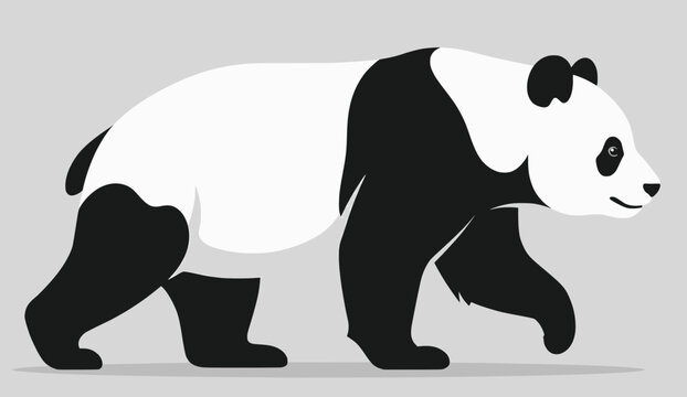 vector illustration of a panda