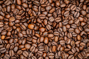 Fototapeta premium Many coffee beans are spread out on a flat surface showing different shades and textures throughout the scene