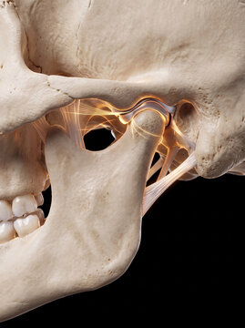 Detailed 3D rendering of human temporomandibular joint (TMJ) with illuminated ligaments and nerves on a black background