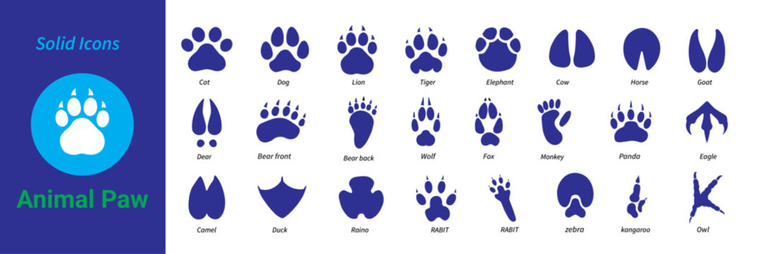 Animal paw solid icons set. Animal footprint icons set. containing lion, tiger, cat, dog, elephant, duck, owl, eagle. animal paw vector illustration.