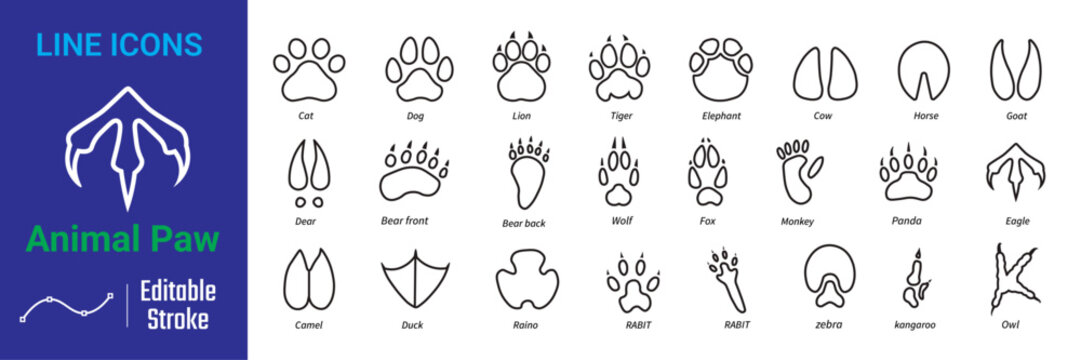 Animal paw line icons set. Animal footprint icons set. containing lion, tiger, cat, dog, elephant, duck, owl, eagle.