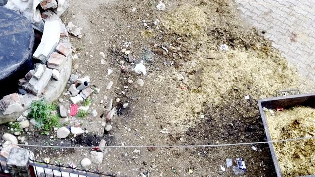 Biogas plant at animal farm using cow dung gobar dhan system for renewable energy production and organic waste management