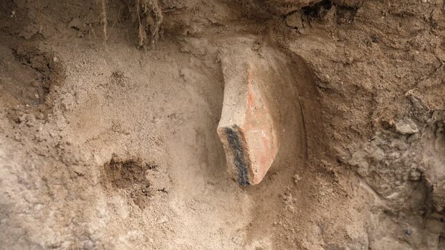 Pre-Columbian pottery shard weathering out of a bank. Possibly a piece of a burial urn. Imbabura Province in the Ecuadorian Andes
