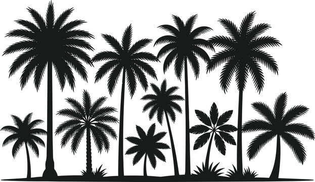 Tropical palm tree silhouettes collection illustration with various coconut and date palms forming exotic island landscape, nature vegetation set for summer travel and beach design