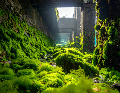 Mossy concrete tunnel with algae covered walls and support pillars with low light perspective