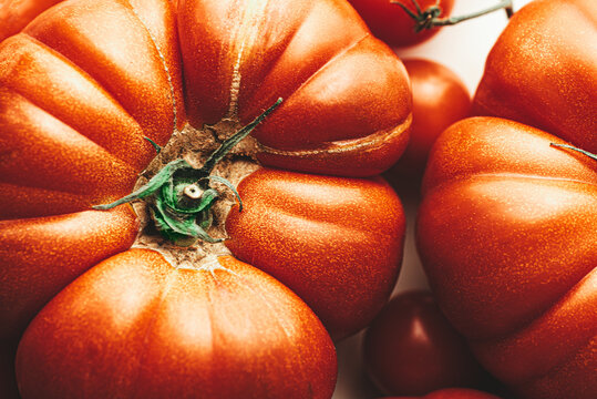 Organic Bull's Heart tomatoes, Italian heritage vegetables 