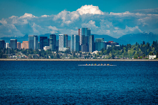 Rowers And Skyline 4