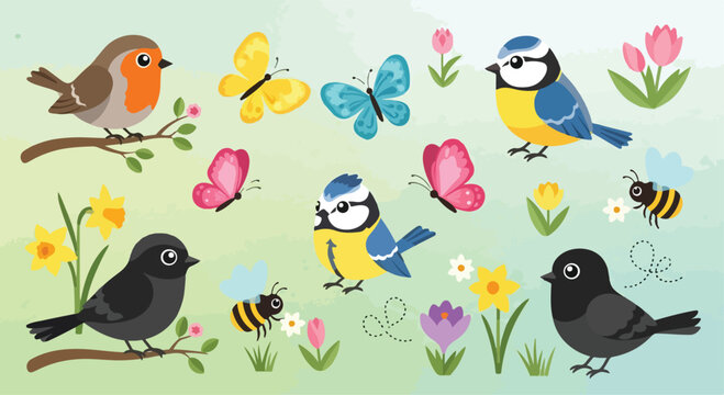 Spring garden bird and insect vector set, cute robin and blue tit illustrations, colorful butterflies and bumblebees with blooming flowers for greeting cards