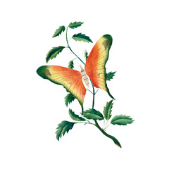 Victorian Butterfly on Botanical Branch Illustration, Antique Orange Green Natural History Art, Pre-1900 Lepidoptera Print © Vintage Nature Co.