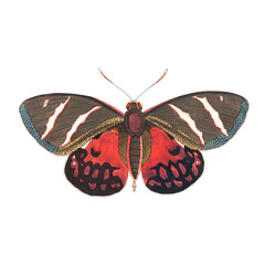 Victorian Red Moth Illustration, Antique Natural History Lepidoptera Art, Pre-1900 Insect Print © Vintage Nature Co.