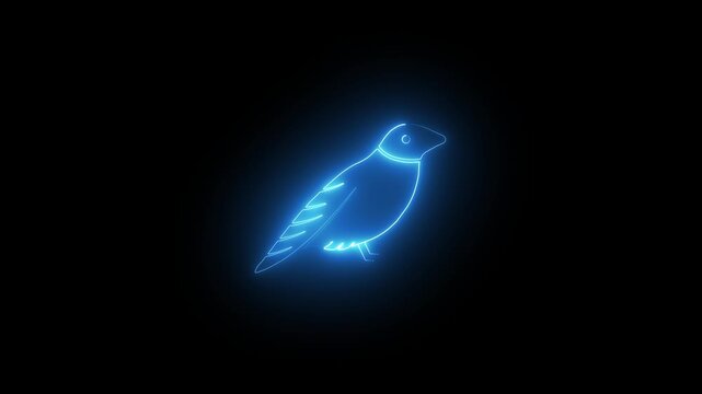 glowing line bird icon animation.