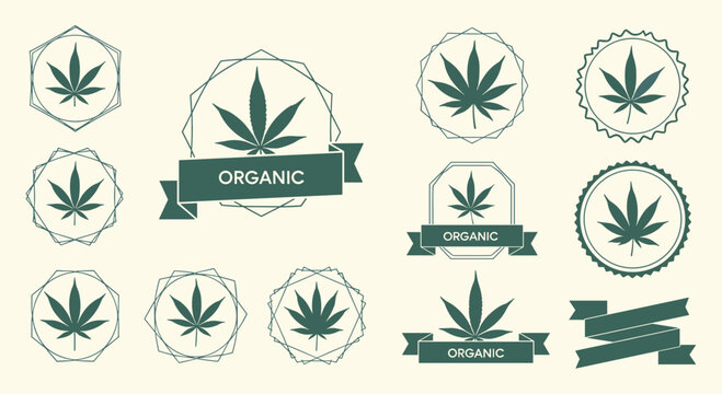 Collection of green organic cannabis leaf logo templates with various geometric frames and ribbon banners for legal marijuana branding.