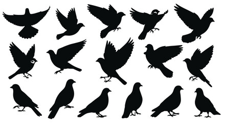 Obraz premium Collection of flying and perched bird silhouettes on a white background