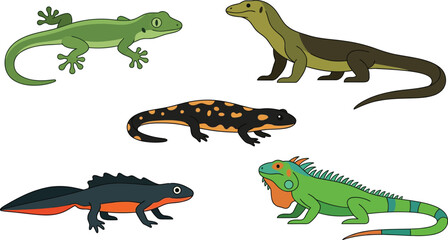 Fototapeta premium Set of cartoon dinosaur silhouettes including wild reptiles like lizards and crocodiles isolated on a white background with green iguanas and black dragons featuring long tails