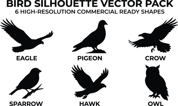 Vector illustration set of wild bird silhouettes featuring black eagles, hawks, and pigeons flying with wings spread in nature