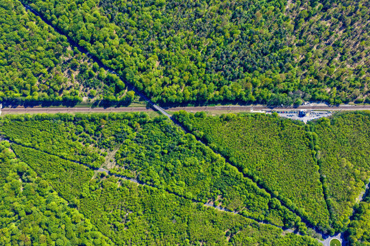Aerial view of the dense green canopy of the Forest of Fontainebleau with a straight railway line and crossing road Fontainebleau, Ile-de-France, France.