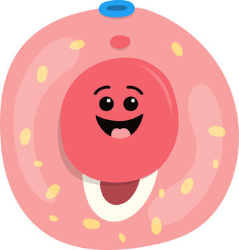 Spermiogenesis Stage Kawaii Cartoon Illustration. Vector Isolated