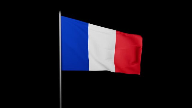 french flag waving in the wind seamless loop