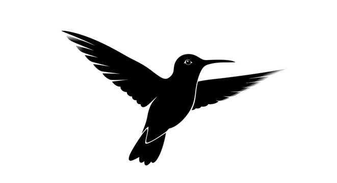 Silhouette of a hummingbird in flight with outstretched wings and long beak one animal