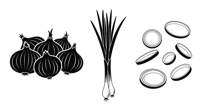 Onion collection with scallions and slices black silhouette high quality professional