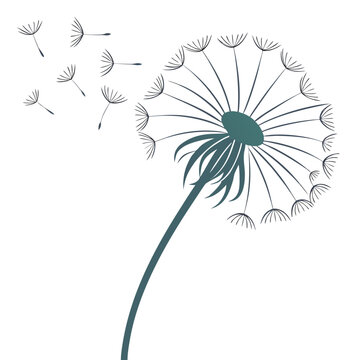 Stylized dandelion with seeds blowing in the wind dandelion puffball isolated